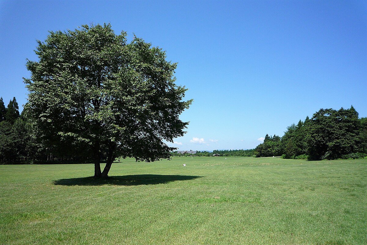 🌳 북유럽의 숲 공원(호쿠오노모리코엔) 이미지 5